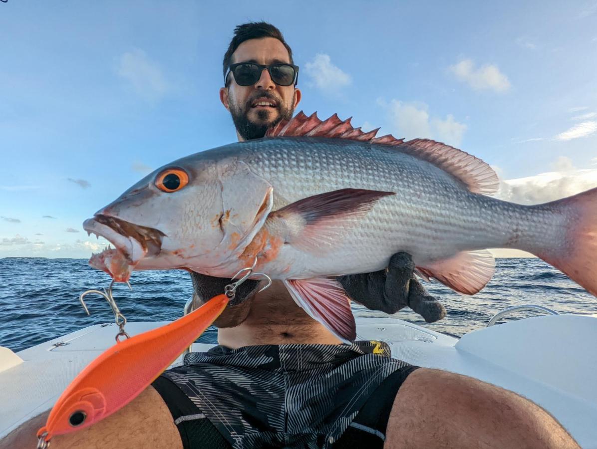 Dhoani Maldives Guesthouse Kendhoo Dış mekan fotoğraf